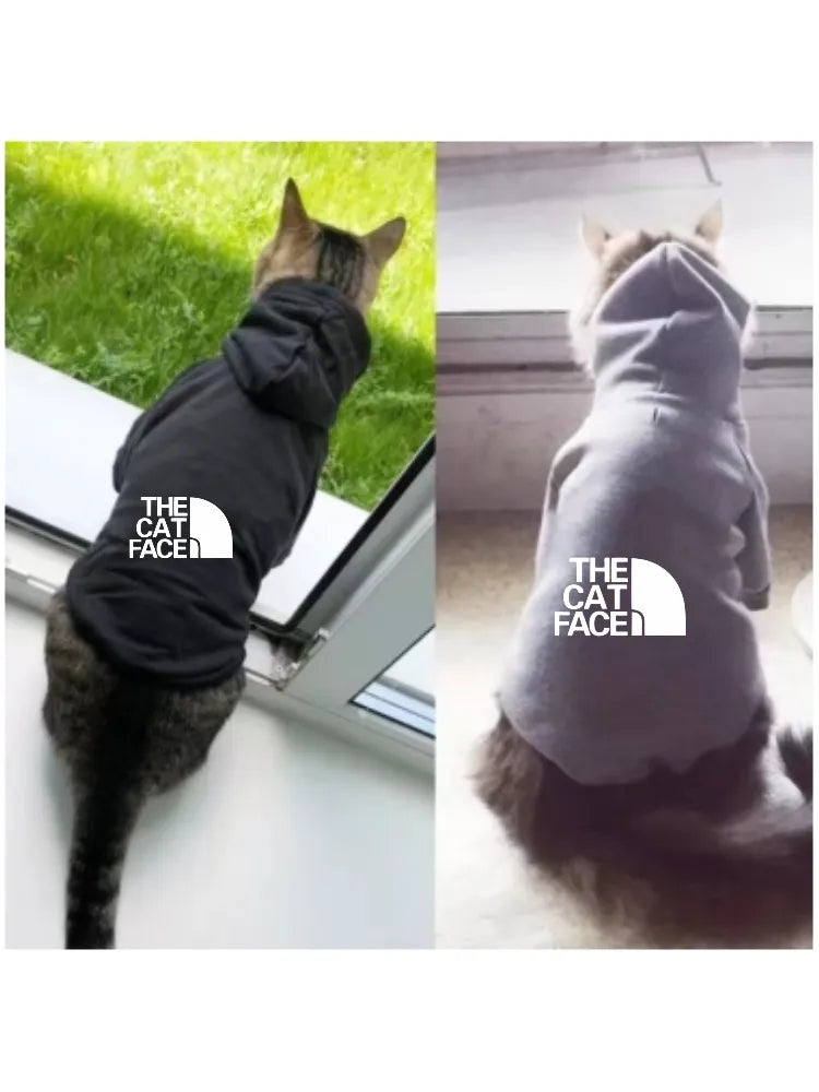 fashion cat cool clothes autumn winter